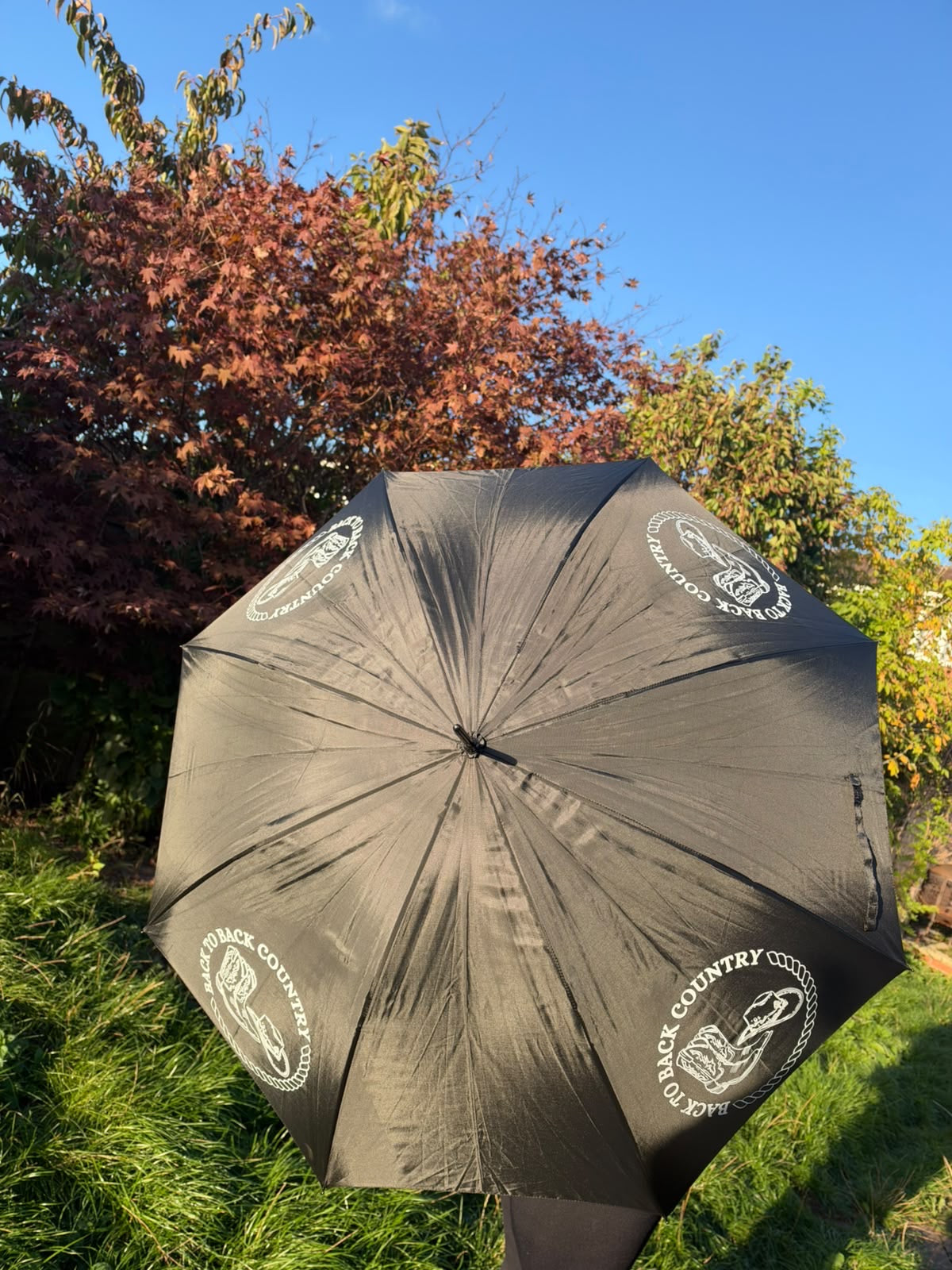 Umbrella